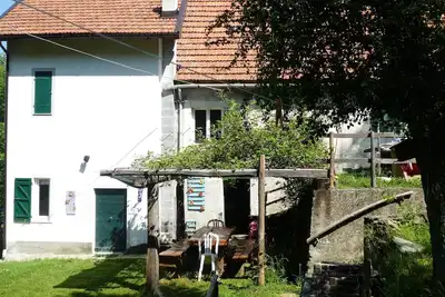 Image de House in the Forest Purple (Citra Code 009063-Lt-0016)