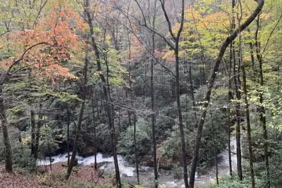 Image de Sound of Rushing Rapids/ Private wooded location/Hiking Trail/Hot Tub