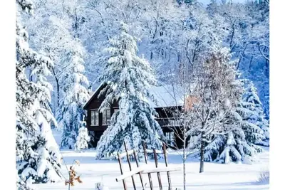 Image de Rustic Acres Cabin & Springs