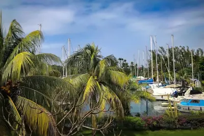 Image de T3 sur la Marina Ă la Pointe du Bout