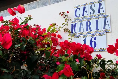 Image de Faro Park. Casa Maria. Luxury detached villa