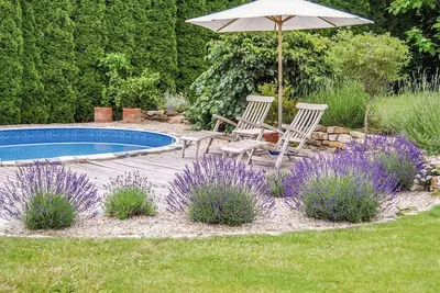 Image de Joli appartement pour 4 personnes avec piscine, Wifi, patio et parking