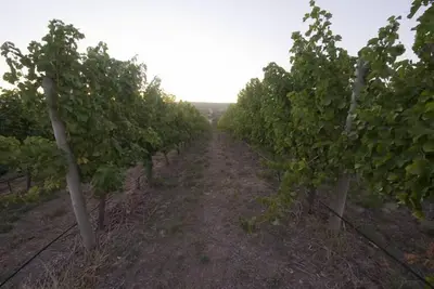 Image de Barristers Block Vigneron Villa