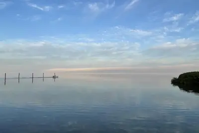 Image de Modern one bedroom apartment with beautiful garden view