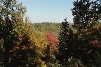 Image de Mountain Views ** Close2 Parkway/Gatlinburg/Dollywood ** | TreeHouse