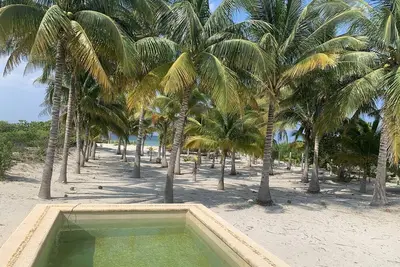 Image de SanCrisanto House