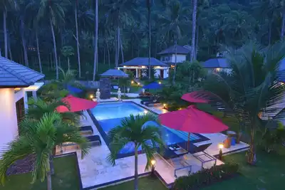 Image de Dream Estate