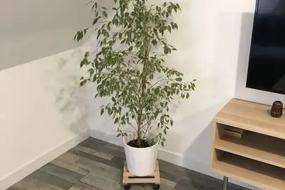 Image de CasaSM - Logement entier en Hyper centre, 40 min de paris