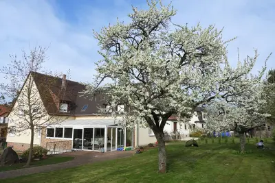 Image de Villa/appartement *** avec véranda et beau jardin