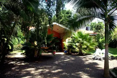 Image de Green Dreams Home