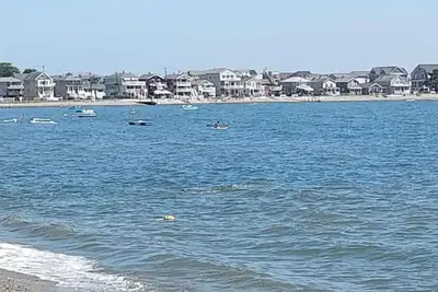 Image de Beachfront getaway in Milford