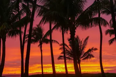 Image de Sand, Swimming, Snorkeling, Sunsets - New Discount!