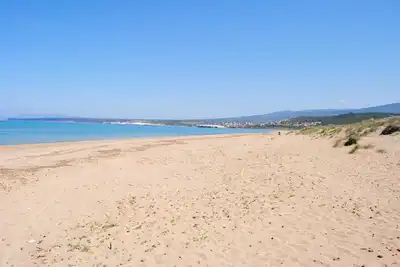 Image de Villa under pine trees by the sea
