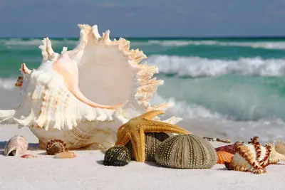 Image de Appartamento, spiaggia