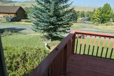 Image de Splendid Absaroka Mountain and Greybull River View