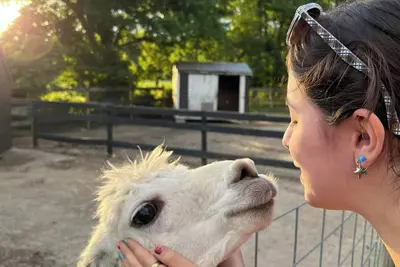 Image de Destination Location! Farm Animals, Tours, Beaches