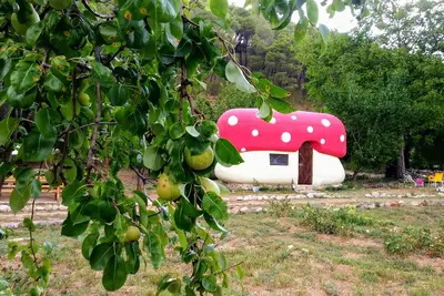 Image de Krka-Magic Mushroom house