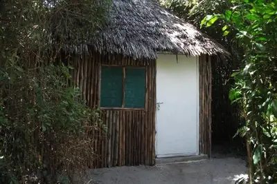 Image de Mida Creek Eco Camp - Détendez-vous dans un cottage confortable