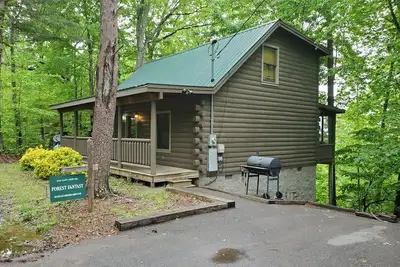 Image de Smoky Mountain Log Cabin minutes from Pigeon Forge & Gatlinburg Tn\n