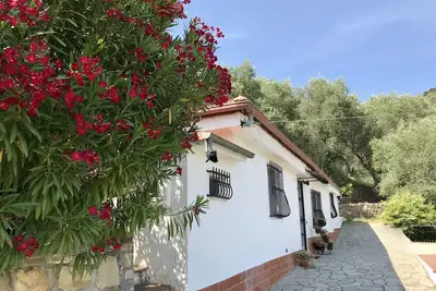 Image de Casa Uliveto