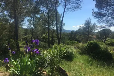 Image de Maison Du Hameau 2 Chambres Avec Jardin (N°502)