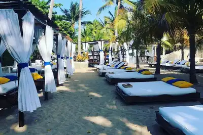 Image de Dream Suite