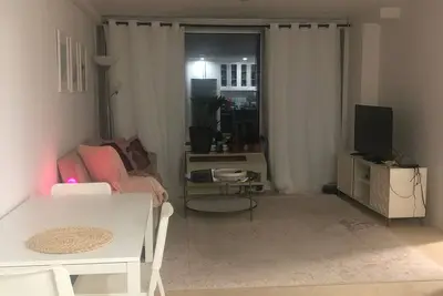 Modern Hip Brooklyn Apartment