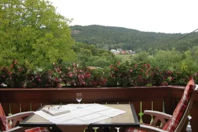 Image de Appartement de vacances Dachsberg pour 1 - 2 personnes avec 1 chambre à coucher - Appartement de vac