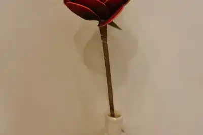 Image de Rosa Rossa With Private Pool Jacuzzi Sea view Villa Rosa