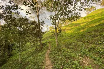 Image de Finca La Argelia