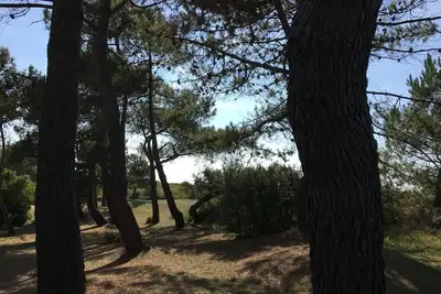 Image de Le Petit Hameau - Close to the beach and the town of Carteret - 2 bedrooms