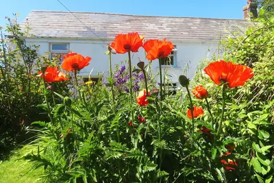 Image de Rose Cottage