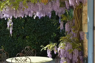 Image de Belle demeure de charme Xviii ème au coeur du Périgord noir. \n Idéal famille.