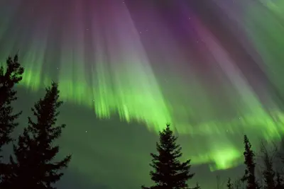 Image de Property near Pioneer Park, Chena River, and the Carlson Center. Sleeps 4