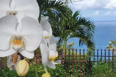 Breathtaking Island Views, Excellent Proximity to Major Beaches and More
