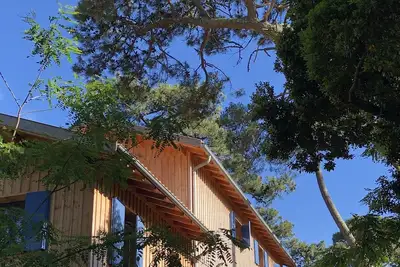 Image de Maison bois tout confort 8 couchages Plage des Américains Cap Ferret