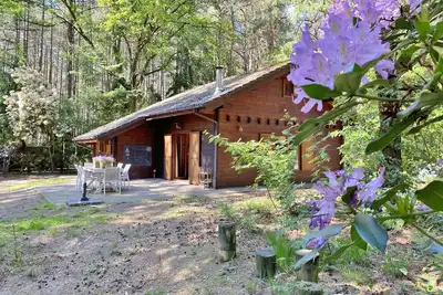 Image de Chalet adapté aux enfants dans les bois