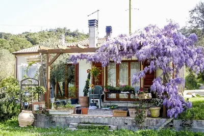Image de Single family villa with s garden in a quiet area near Portoferraio.