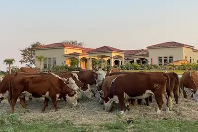 Image de New Hacienda Ranch W/ Resort Style Pool