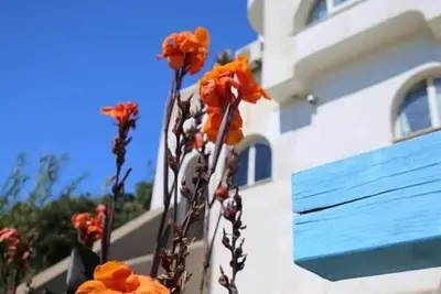 Image de Studio, front de mer, 2ème étage, accès privé à la plage (Narciso)