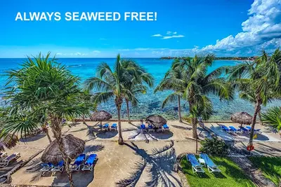 Image de Beachfront! Snorkeling, Pool and Gardens