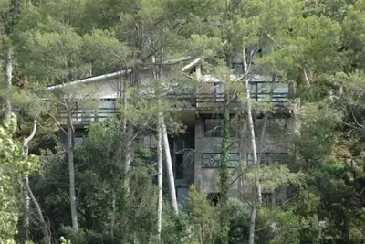 Image de appartement en duplex lumineux, entouré par une forêt de pins, les animaux domestiques