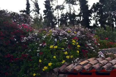 Image de Beautiful adobe house in the countryside via a laguna de tota