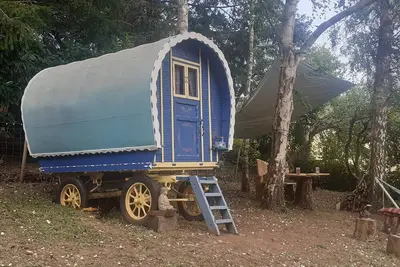 Image de Stunning countryside bow top wagon