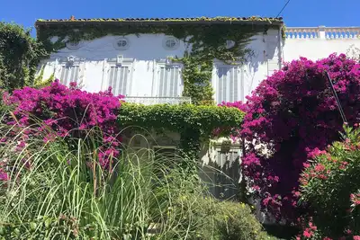 Image de Au cœur du Mourillon superbe villa à 50 m de la mer