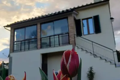 Image de Comfort, relaxation and nature
