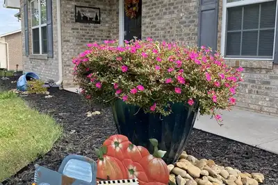 Image de One level 3 Br/ 2 Ba Home in Seymour! ! !