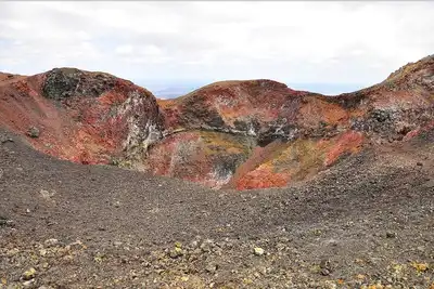 Image de Tour to volcan, swim with sharks - Marriat #2