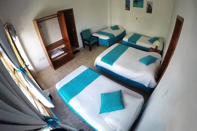 Image de Tour to volcan, swim with sharks - Marriat #3