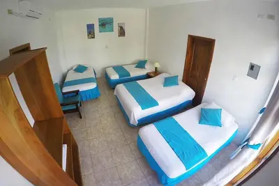Image de Tour to volcan, swim with sharks - Marriat #4